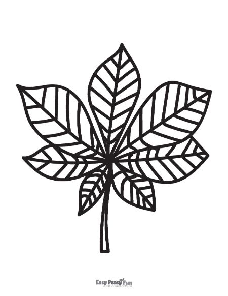 Printable leaf coloring pages â sheets