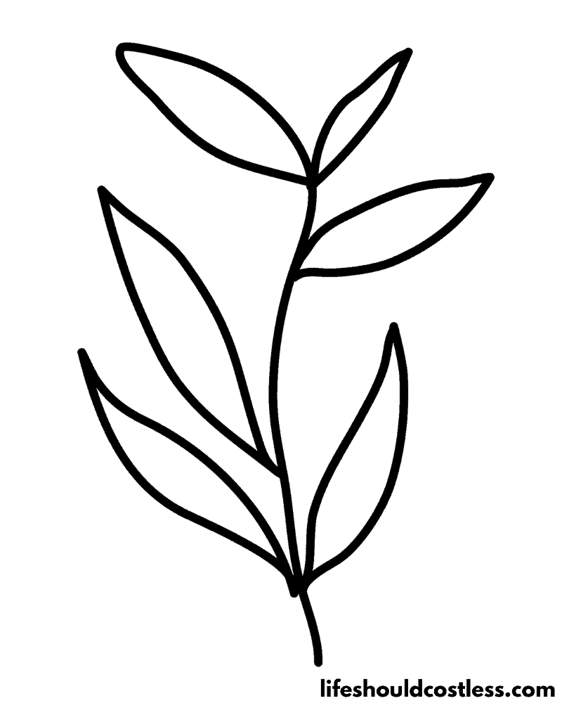 Leaf coloring pages free printable pdf templates