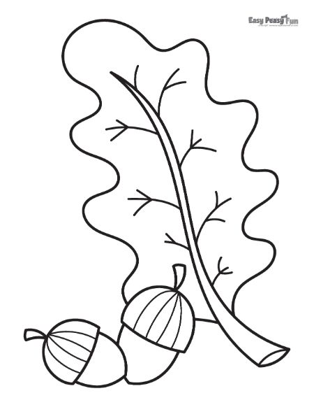 Printable leaf coloring pages â sheets