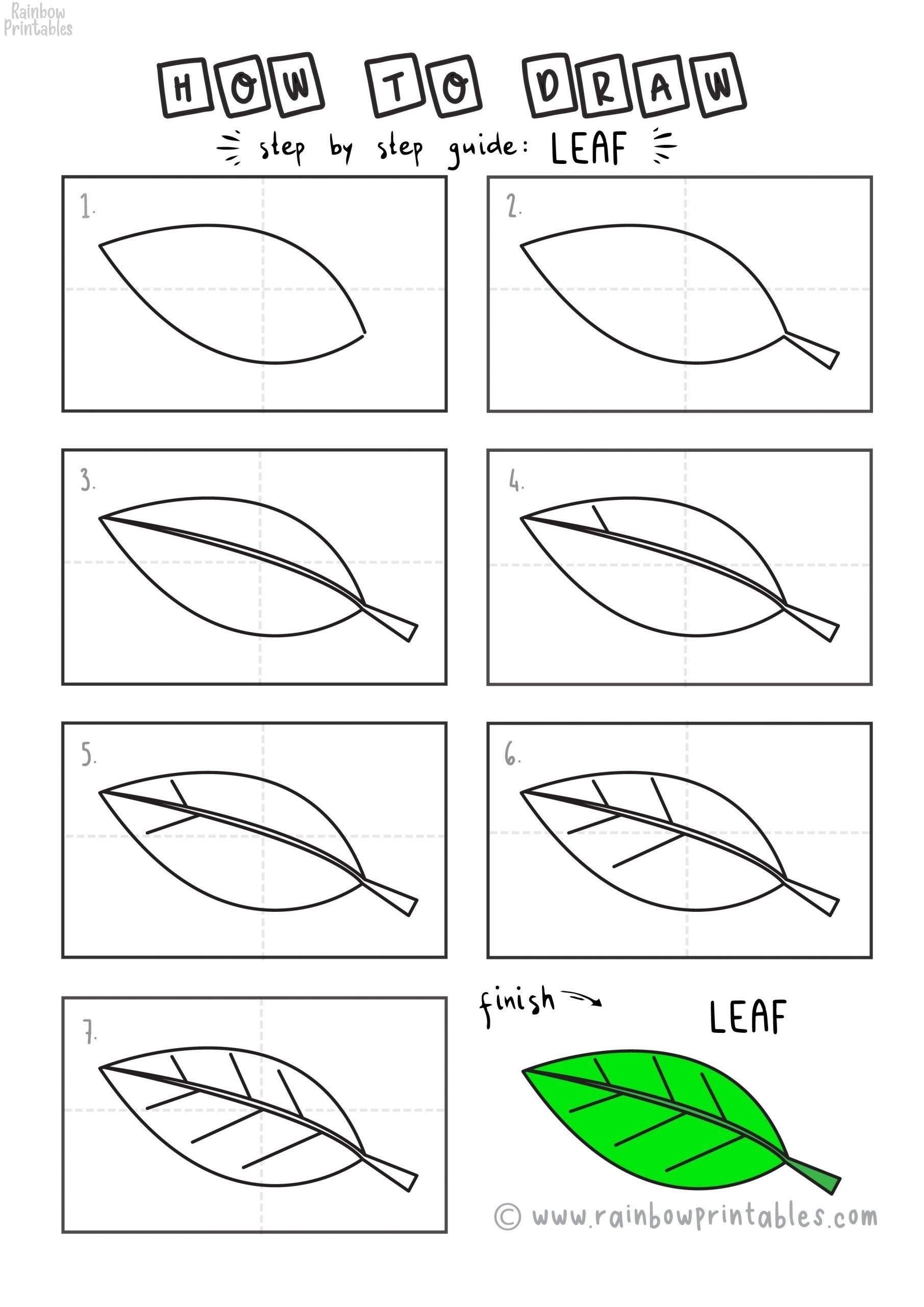 How to draw a cartoon leaf step by step for begners and kids learng to draw for kids drawg tutorial easy drawg lessons for kids