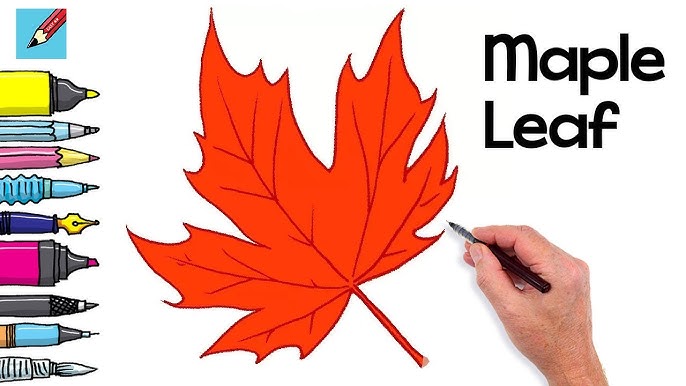 How to draw aple leaf easy