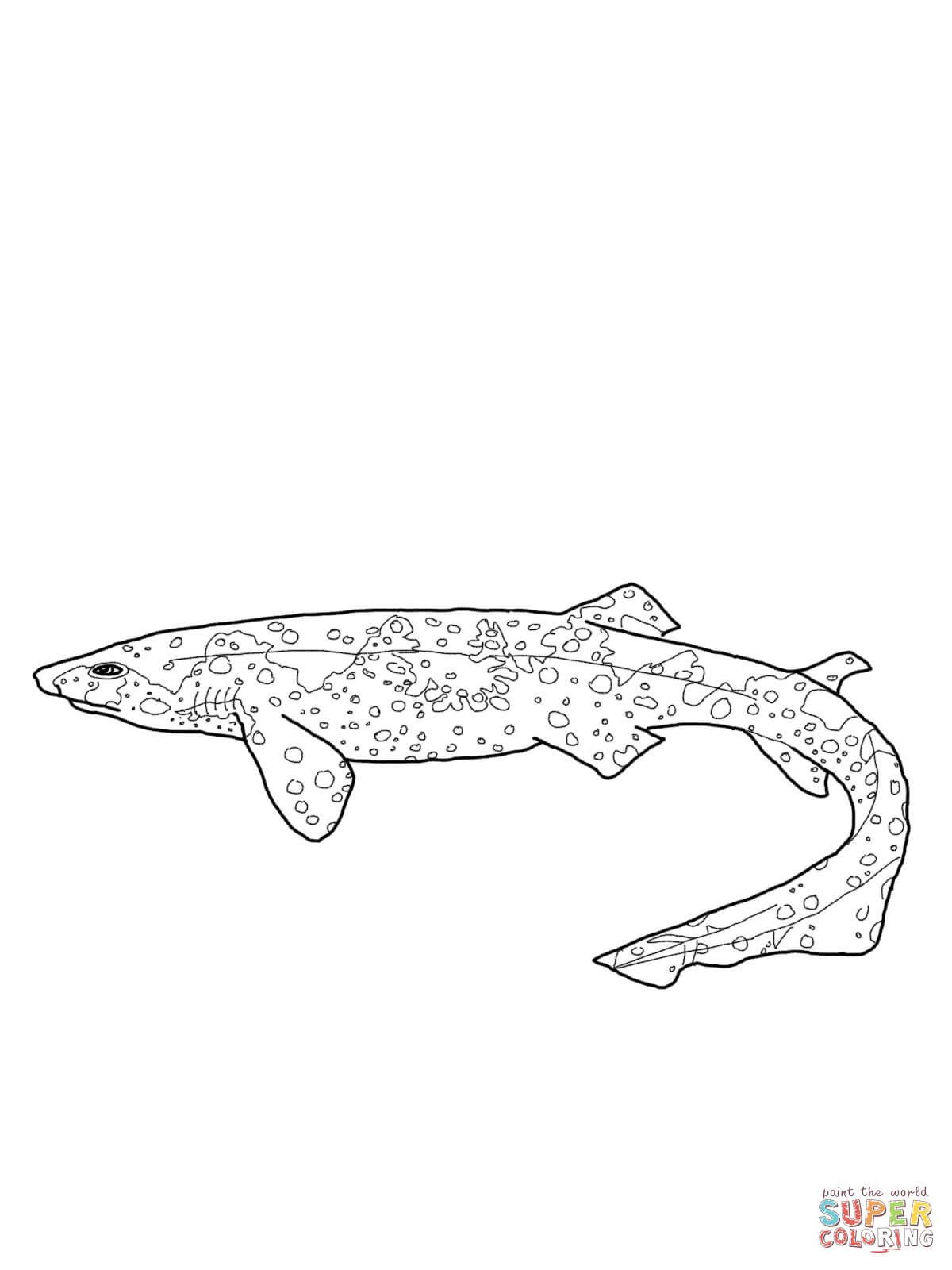 Swell shark coloring page from sharks category select from printable crafts of cartoons naturâ shark coloring pages coloring pages animal coloring pages