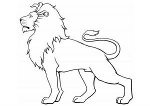 Leão para colorir pintar e imprimir lion coloring pages lion sketch outline drawings