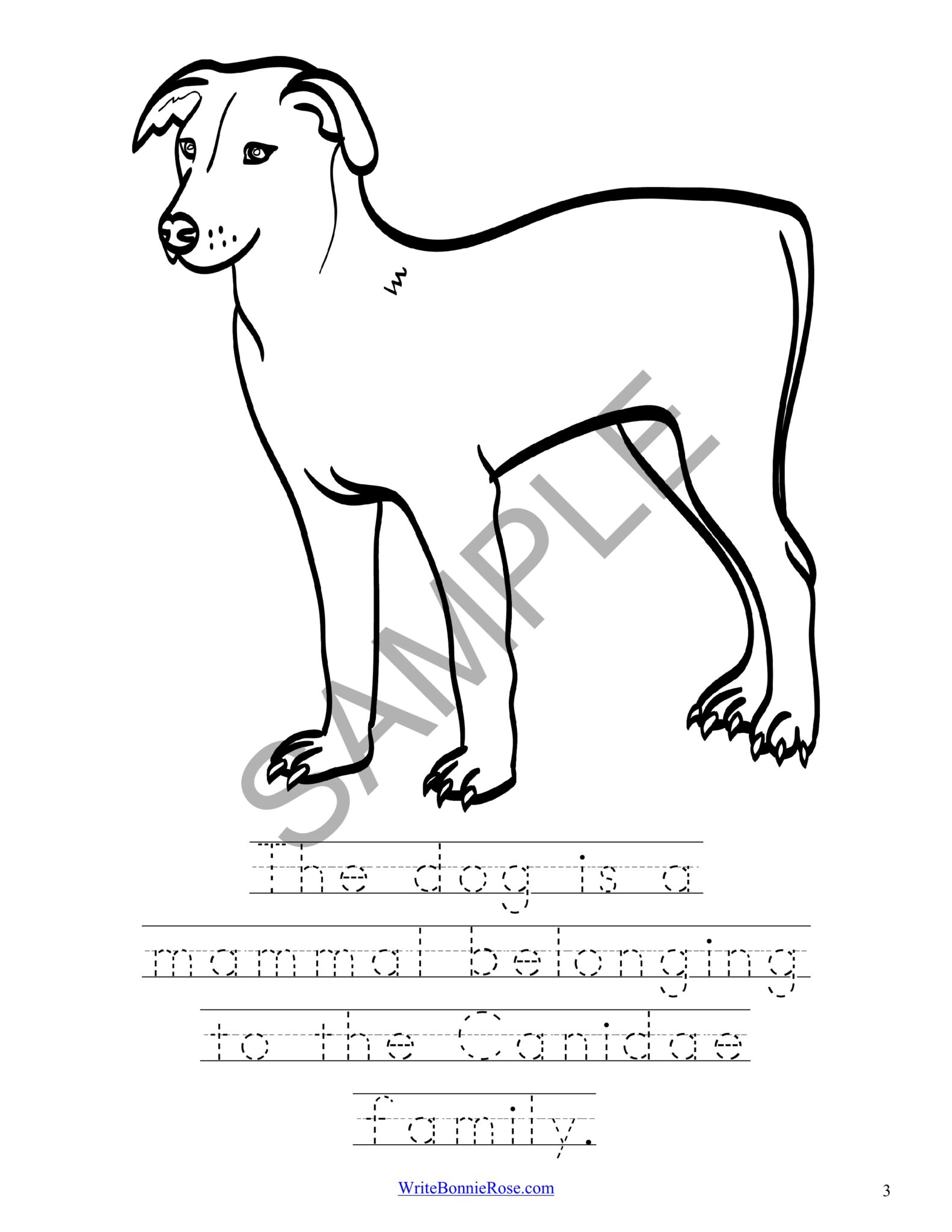 Learning about dogs coloring book