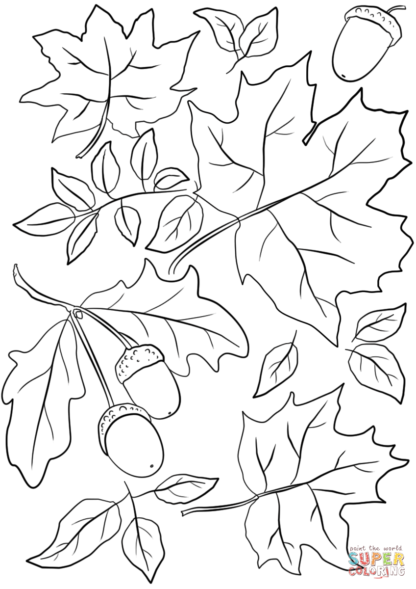 Autumn leaves and acorns coloring page free printable coloring pages