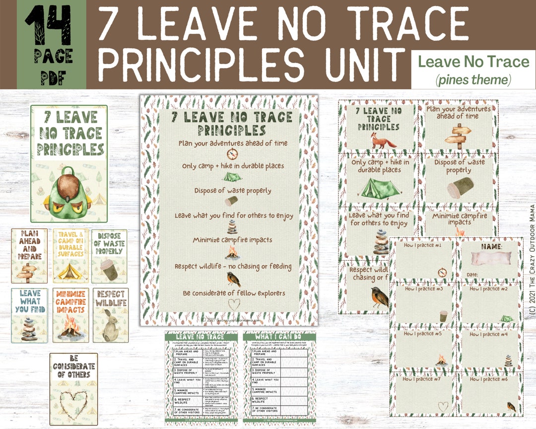 Leave no trace printable activity for kids forest school earth day kids activity nature school forest pines themed