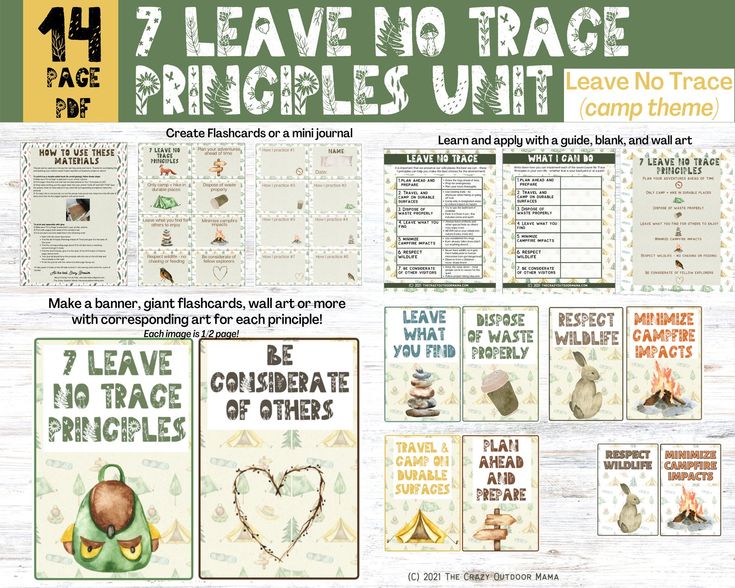 Leave no trace printable activity for kids forest school