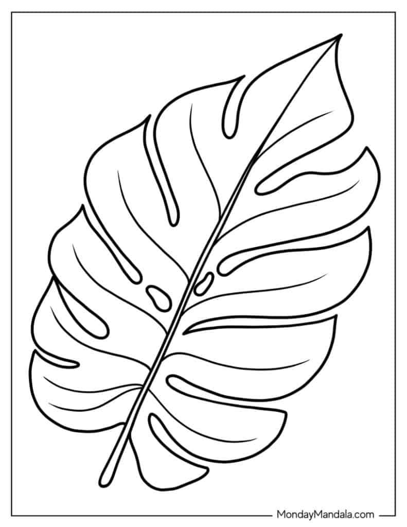 Leaf coloring pages free pdf printables