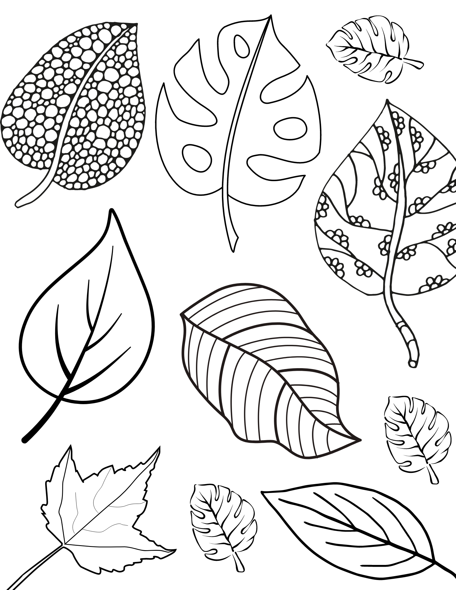 Fun fall leaves coloring pages for kids and adults