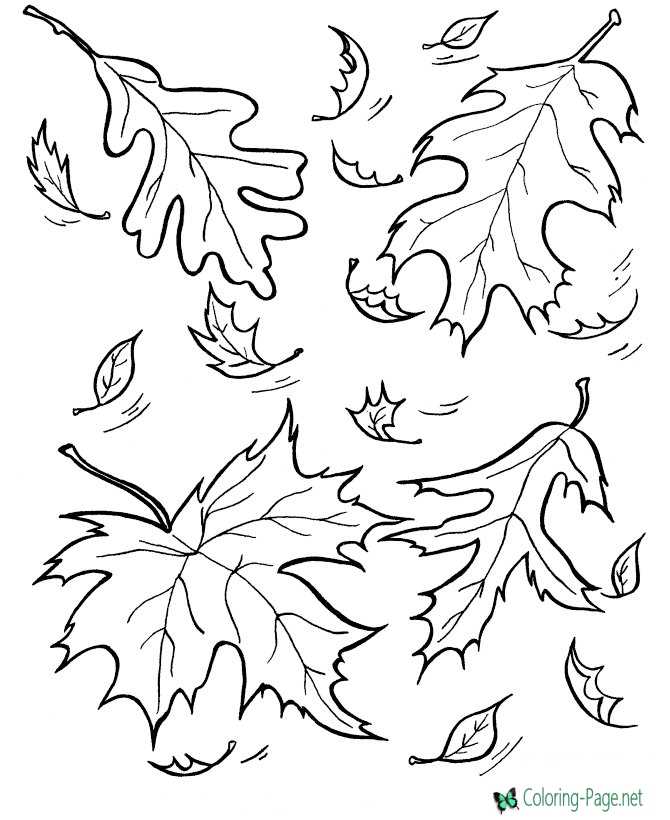 Tree leaves coloring pages