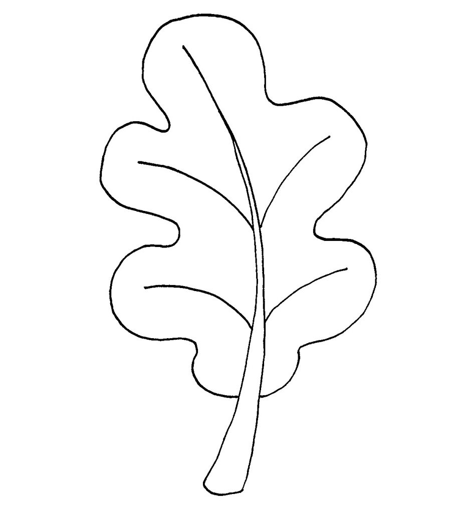 Top free printable leaf coloring pages online