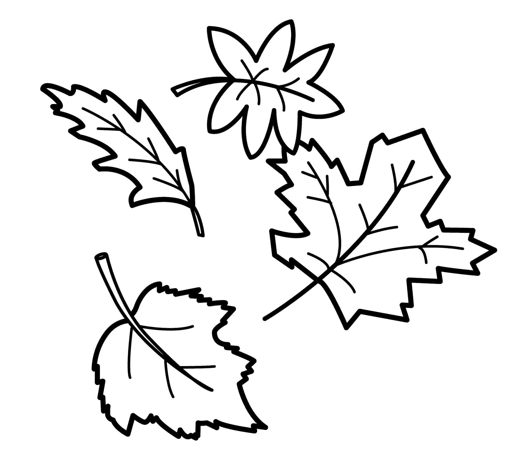 Normal fall leaves coloring page