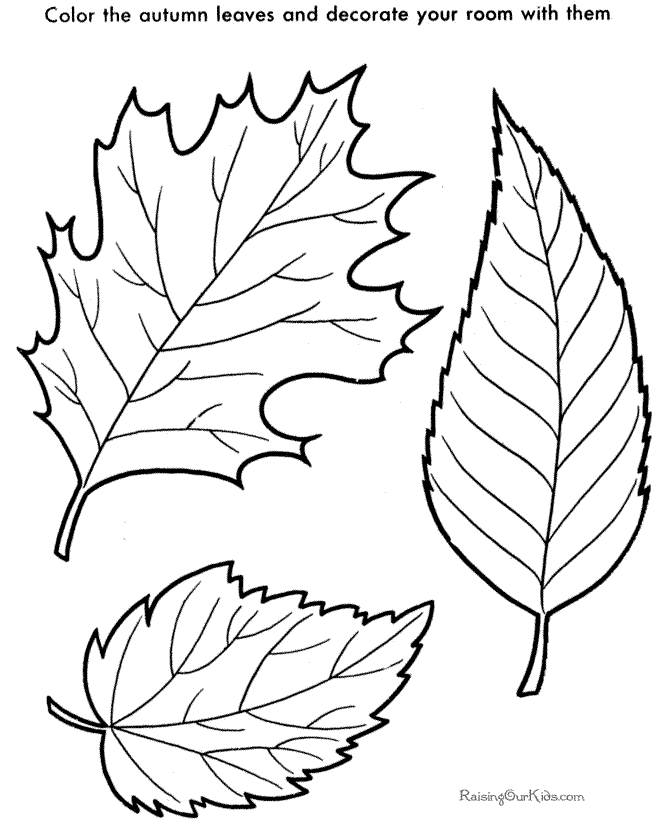 Leaf coloring page for kids