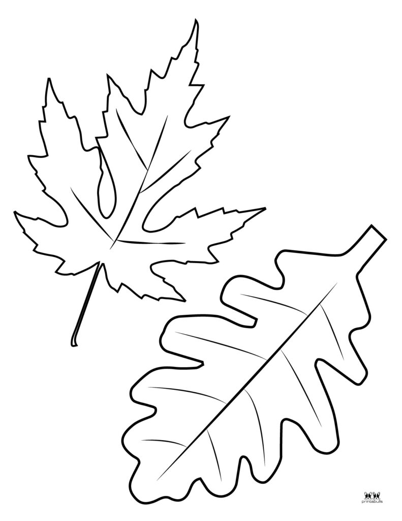 Leaf outlines templates coloring pages