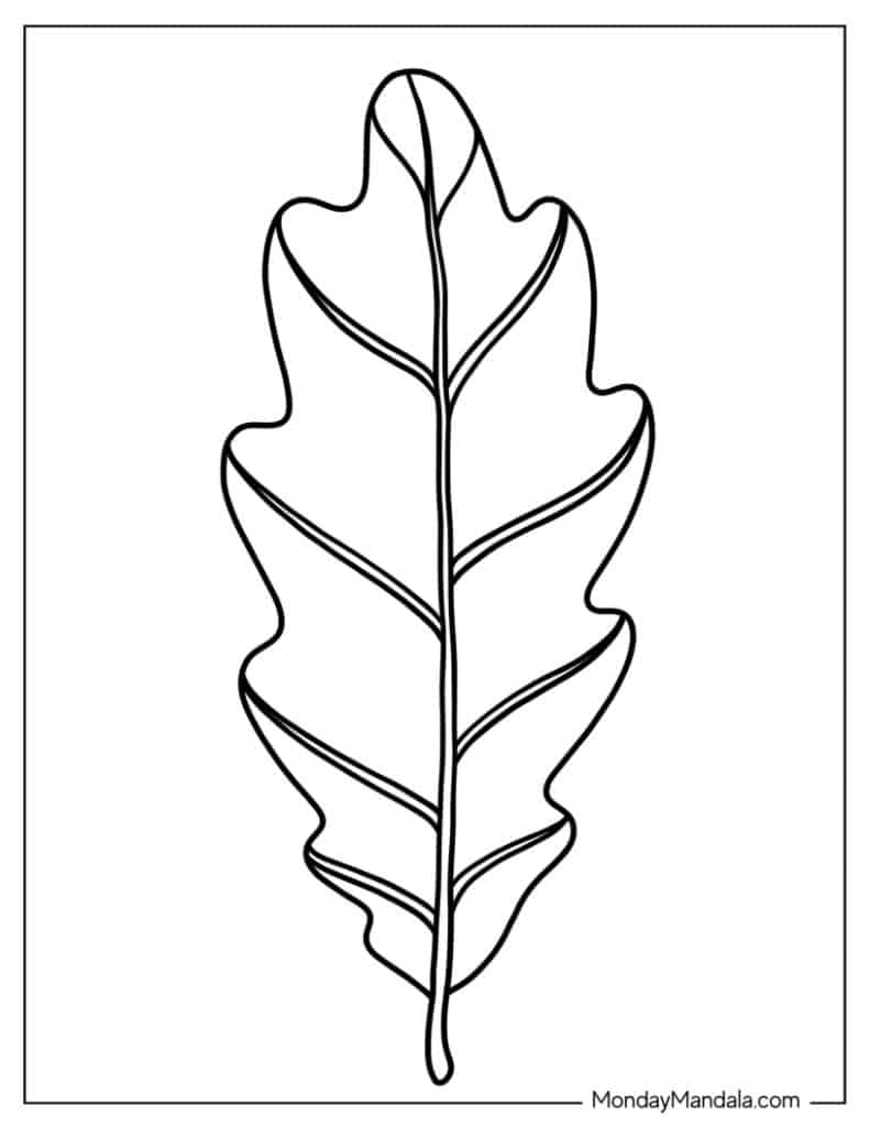 Leaf coloring pages free pdf printables