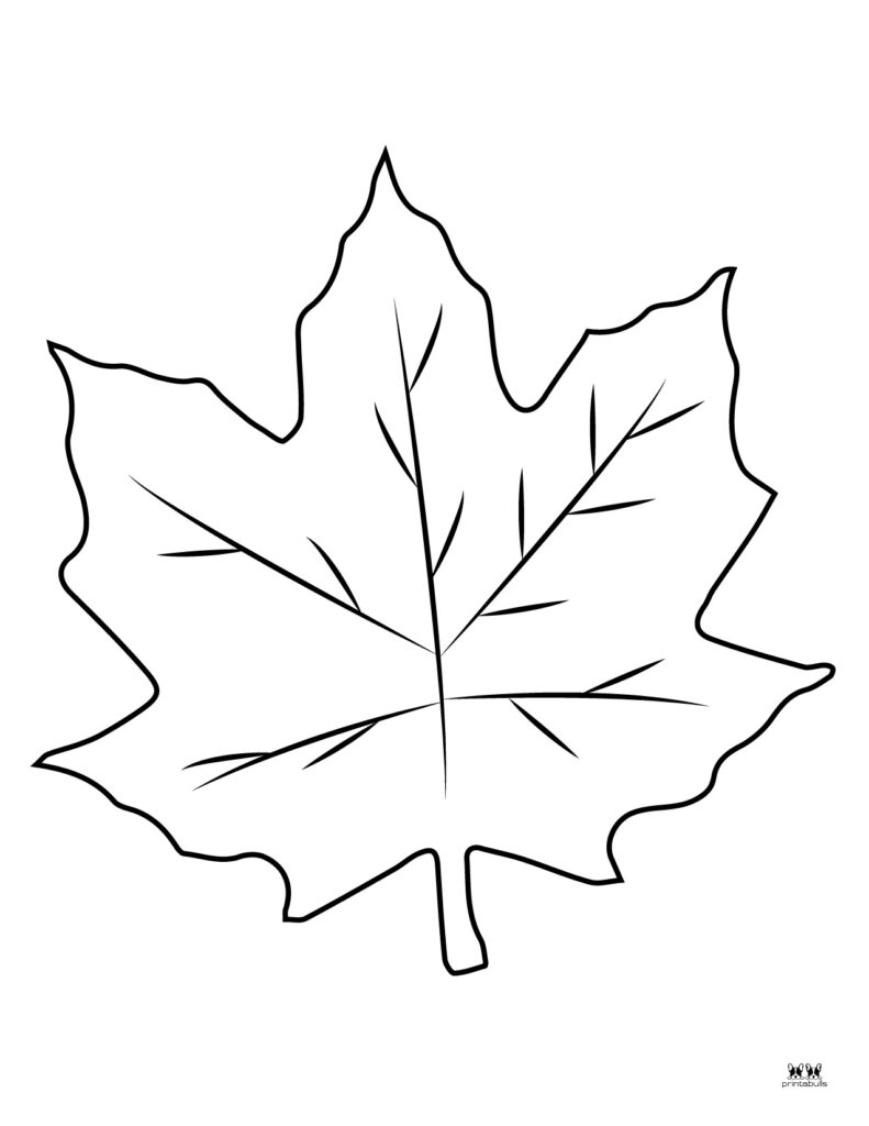 Leaf outlines templates coloring pages