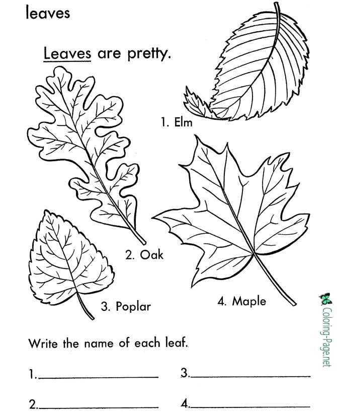 Tree leaves coloring pages