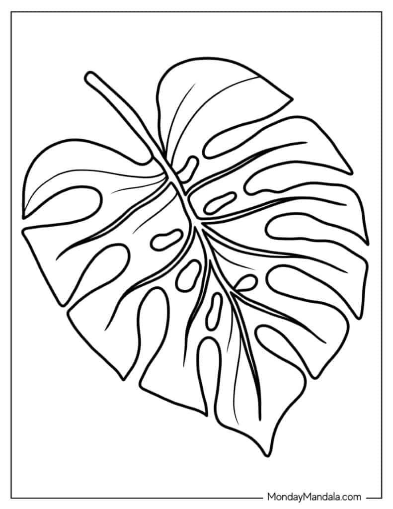 Leaf coloring pages free pdf printables