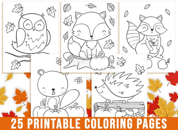 Fall coloring pages autumn coloring book for kids fall leaf fall flower pumpkin fox oak owl squirrels deer bear thanksgiving pdf