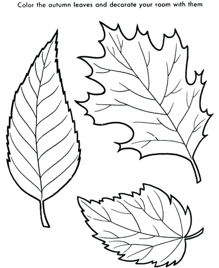 Autumn leaves coloring pages printable flores de papel penduradas desenhos bordados ã mão camas entalhadas