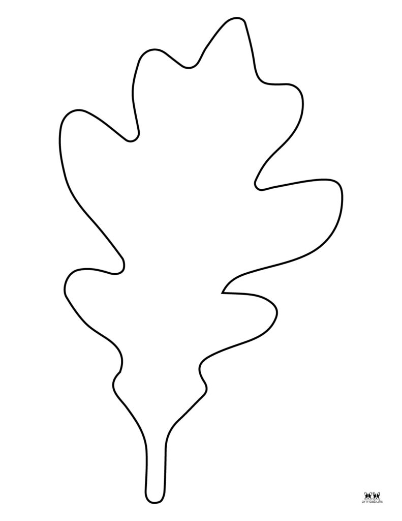 Leaf outlines templates coloring pages