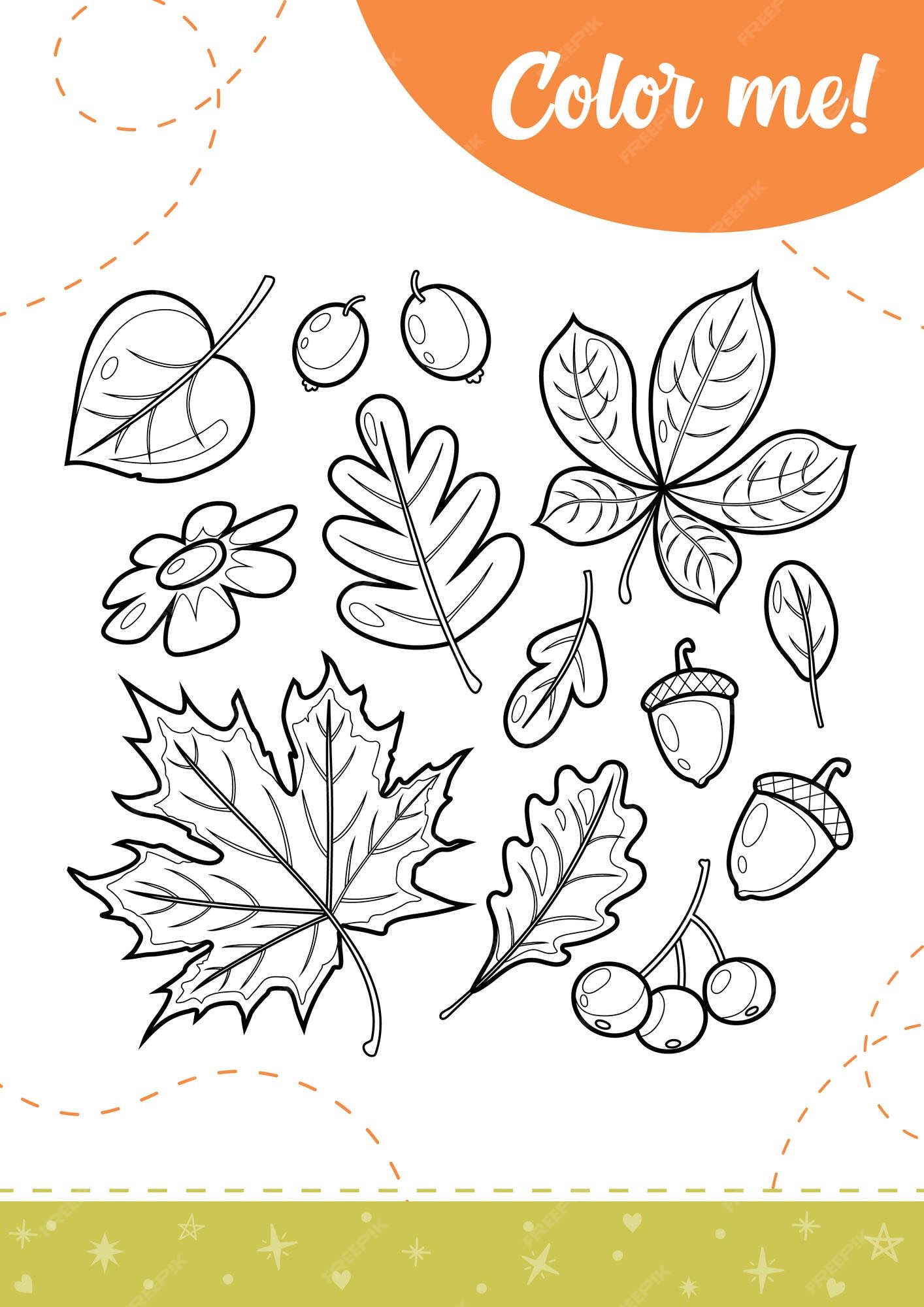 Premium vector coloring page for kids with autumn leaves a printable worksheet vector illustration