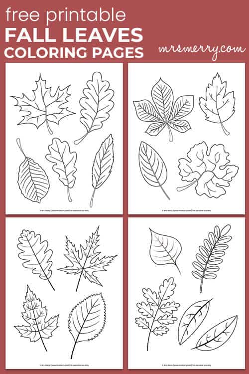 Free printable fall leaves coloring pages mrs merry