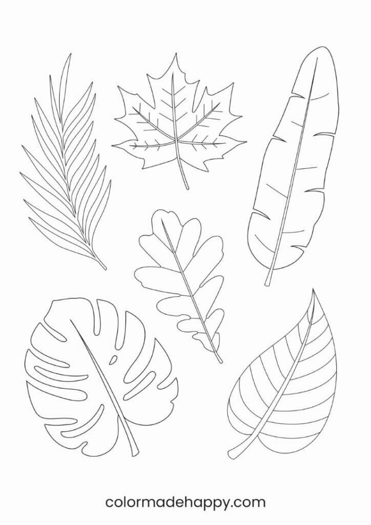 Free printable leaf template