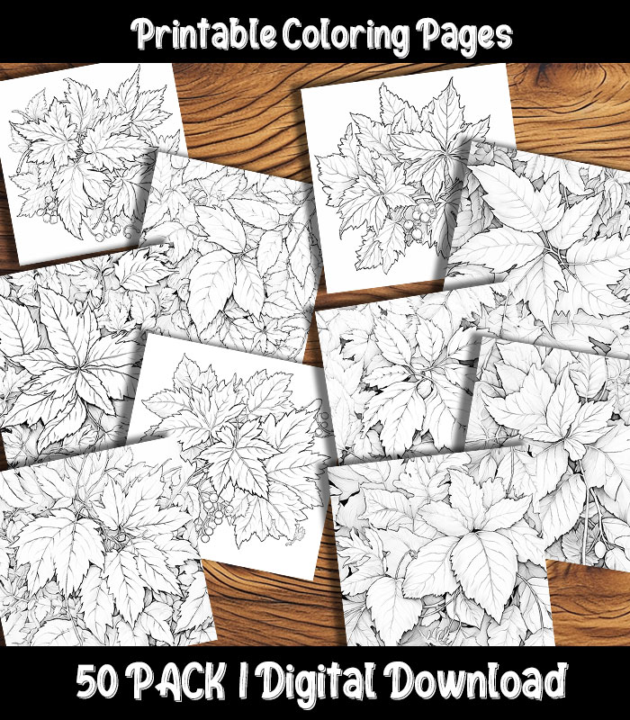 Fall leaves coloring pages digital pack