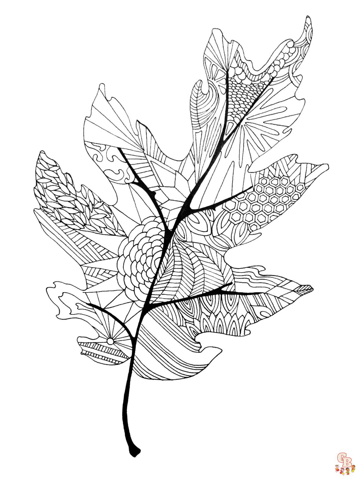 Leaves coloring pages