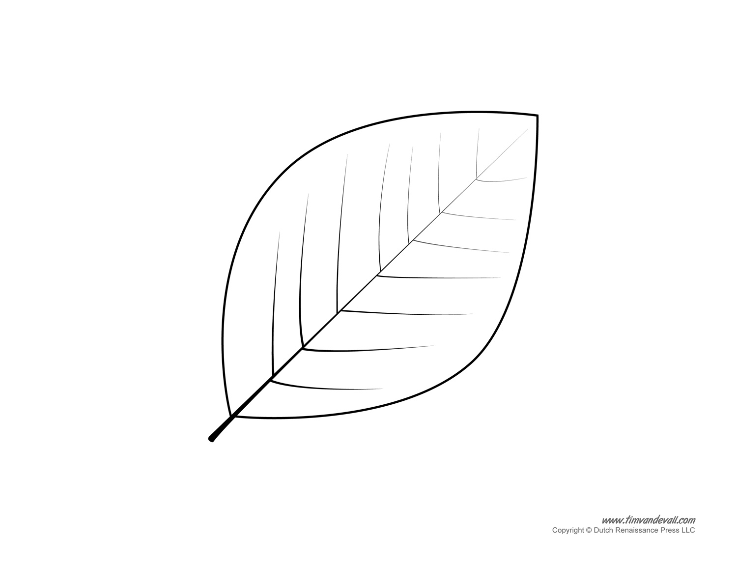 Leaf templates leaf coloring pages for kids leaf printables â tims printables