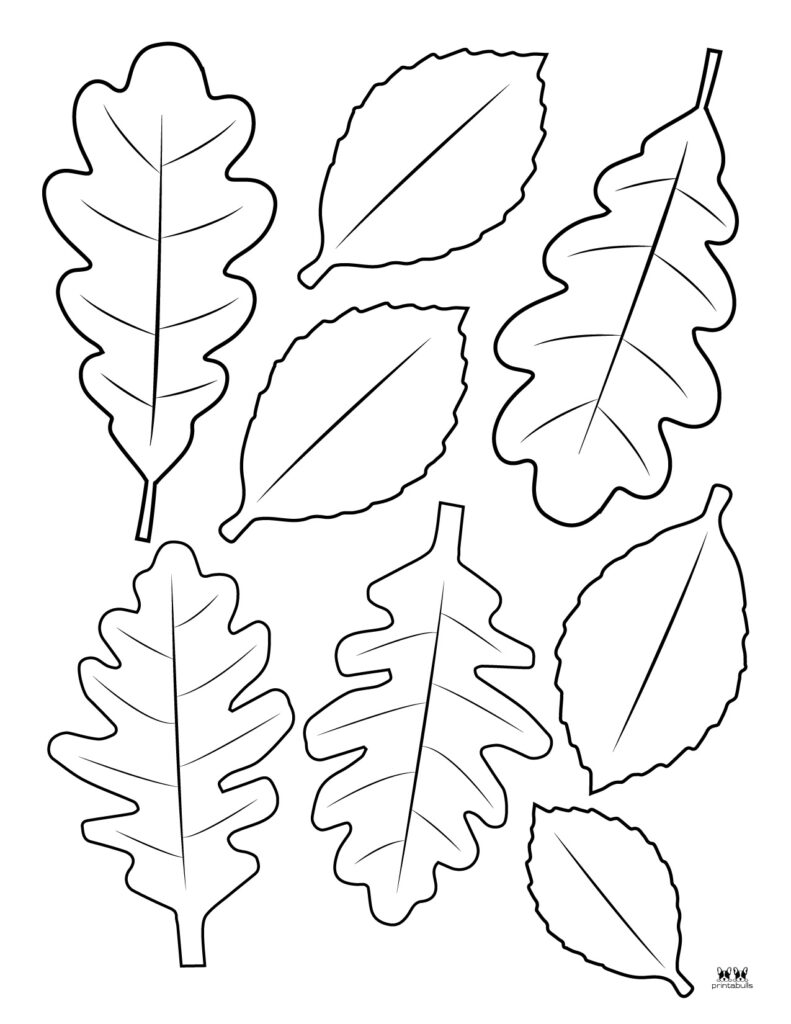 Leaf outlines templates coloring pages