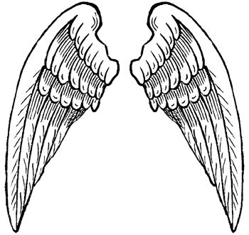 Pictures of angel wings angel wings images angel pictures coloring pages