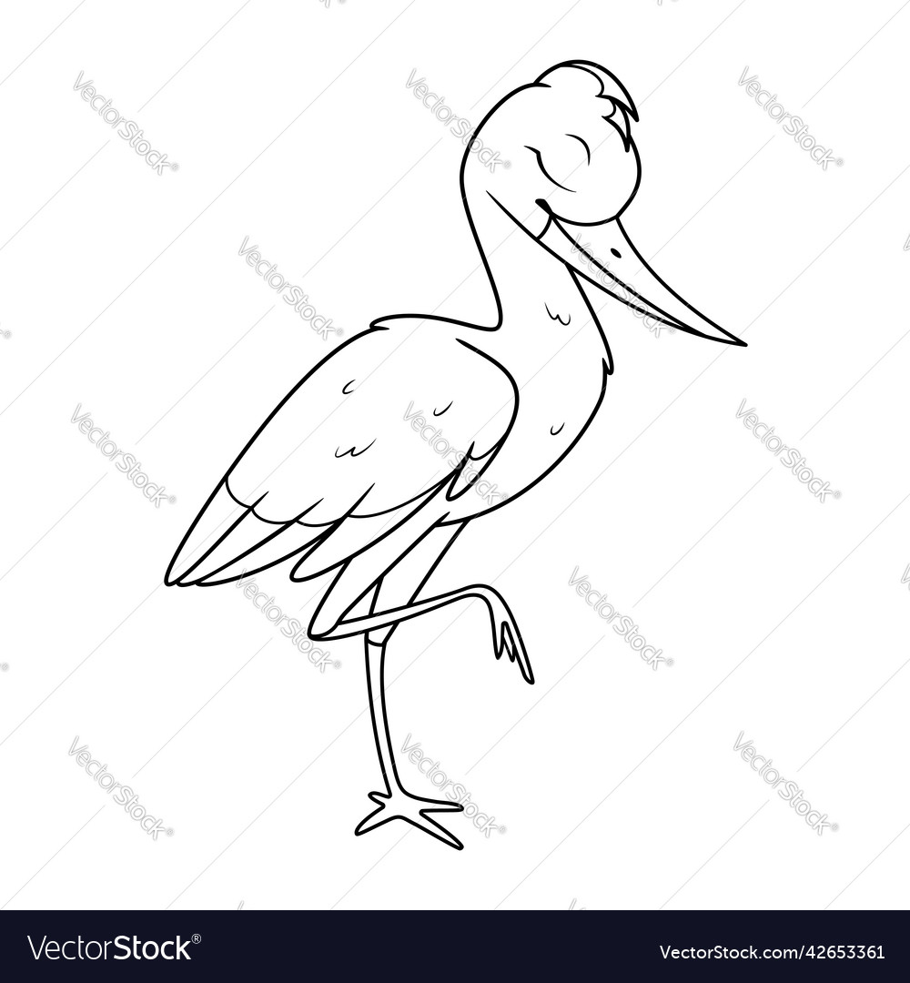 Cartoon stork sleeping on one leg coloring page vector image