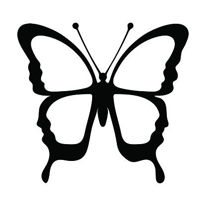 Butterfly monochrome coloring book black and white illustration hand