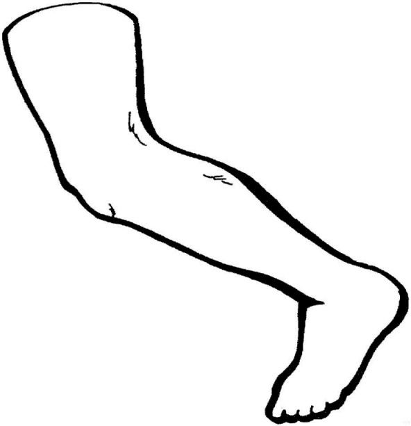 Coloring page human body human body body parts preschool human legs human body