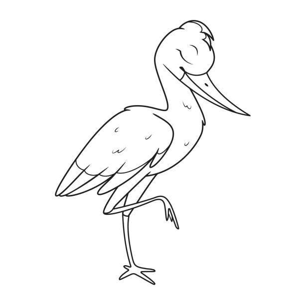 Cartoon stork sleeping on one leg coloring page stock illustration