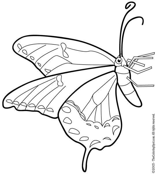 Butterfly coloring page audio stories for kids free coloring pages colouring printables