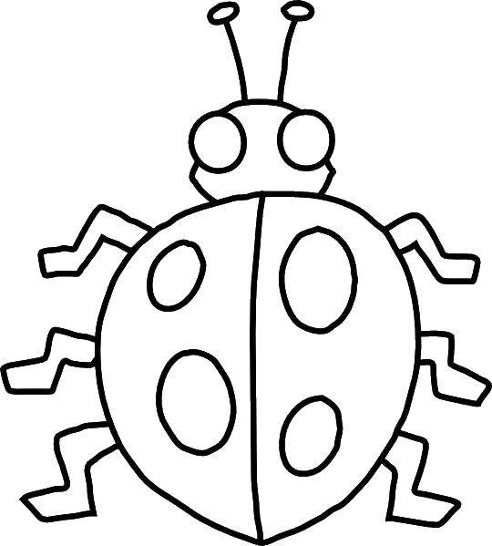 Online coloring pages coloring page ladybug with legs insects download print coloring page