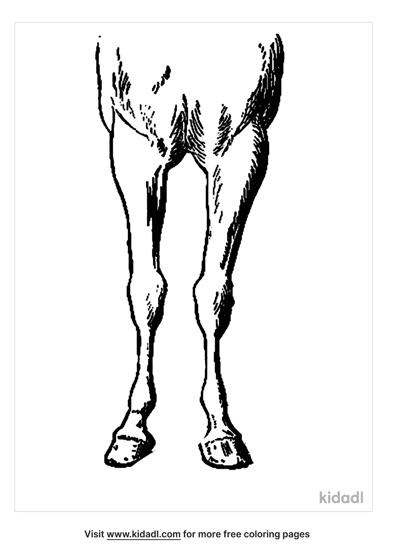 Free leg of horse coloring page coloring page printables