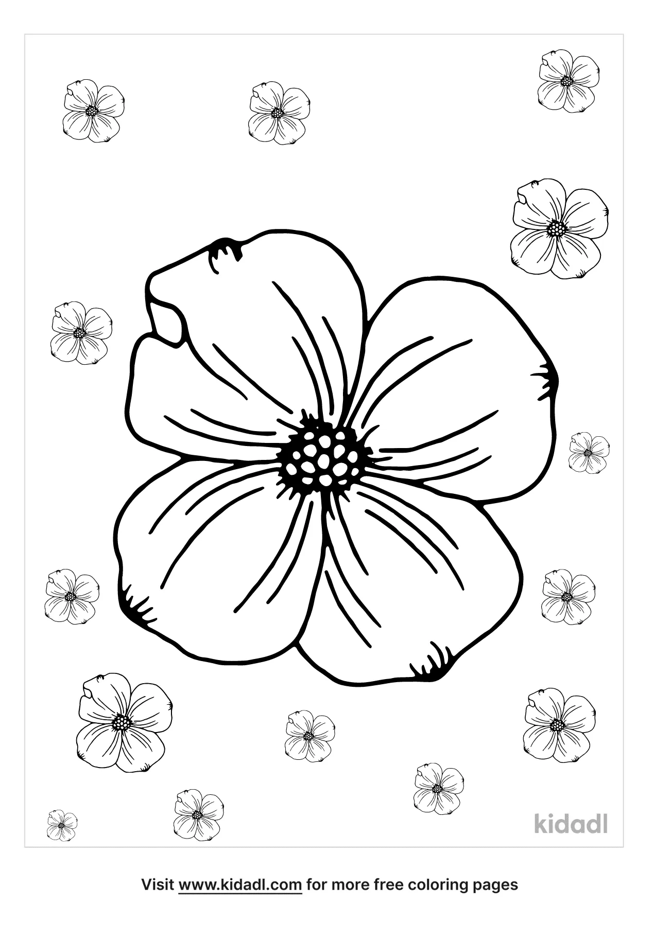 Free dogwood flower coloring page coloring page printables