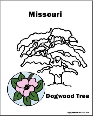 Missouri state tree