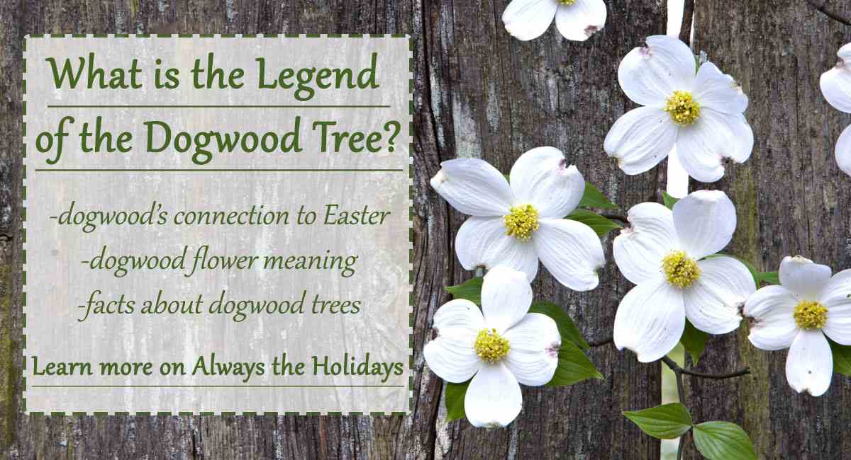 Legend of the dogwood tree