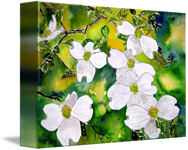 Dogwood tree flowers watercolor painting by derek mccrea