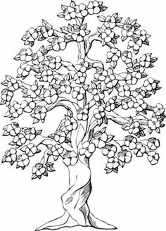 Coloring pages blossom tree