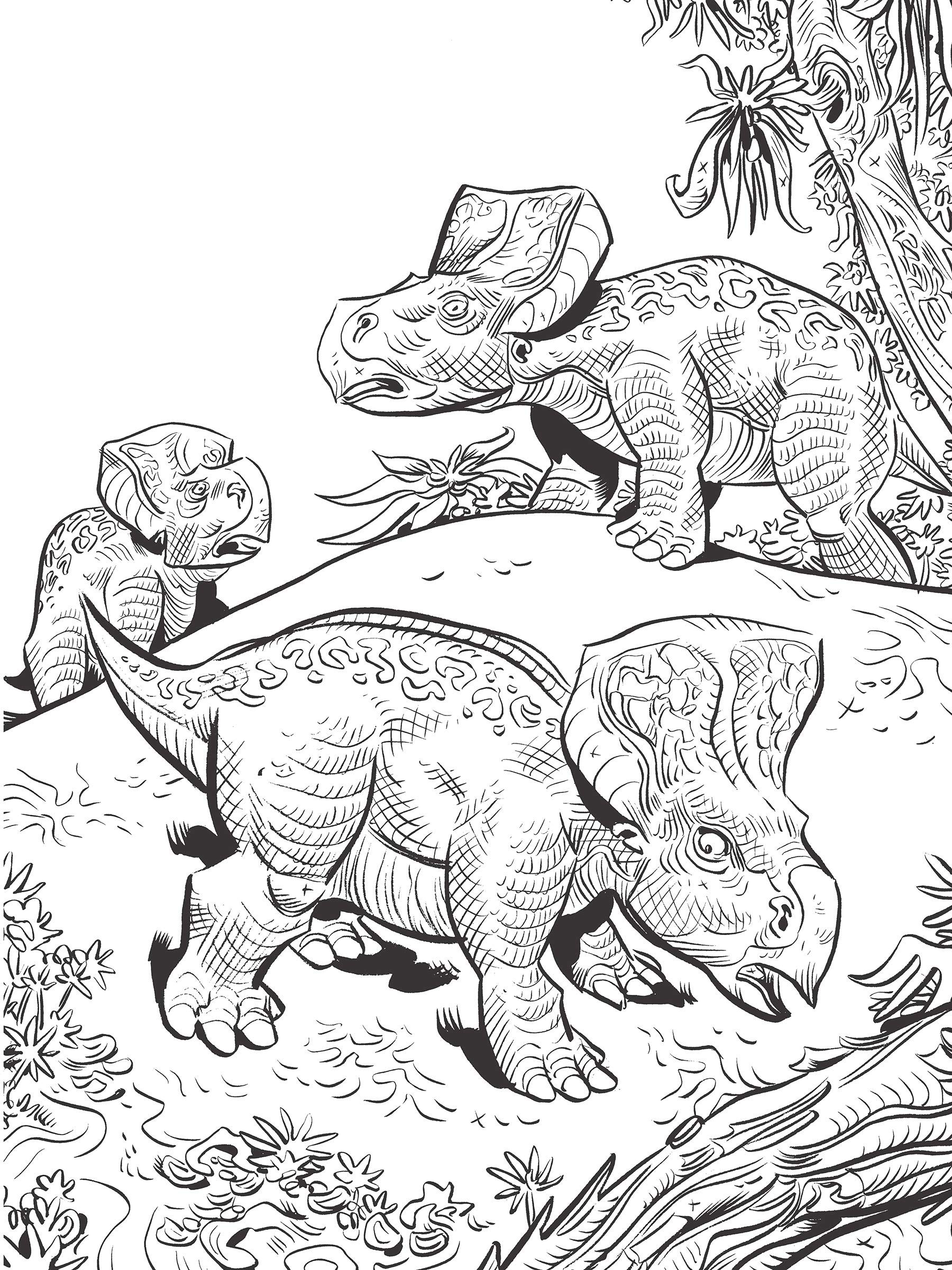 Jim lawsons dinosaurs coloring book