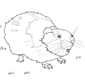 Lemming coloring pages free coloring pages