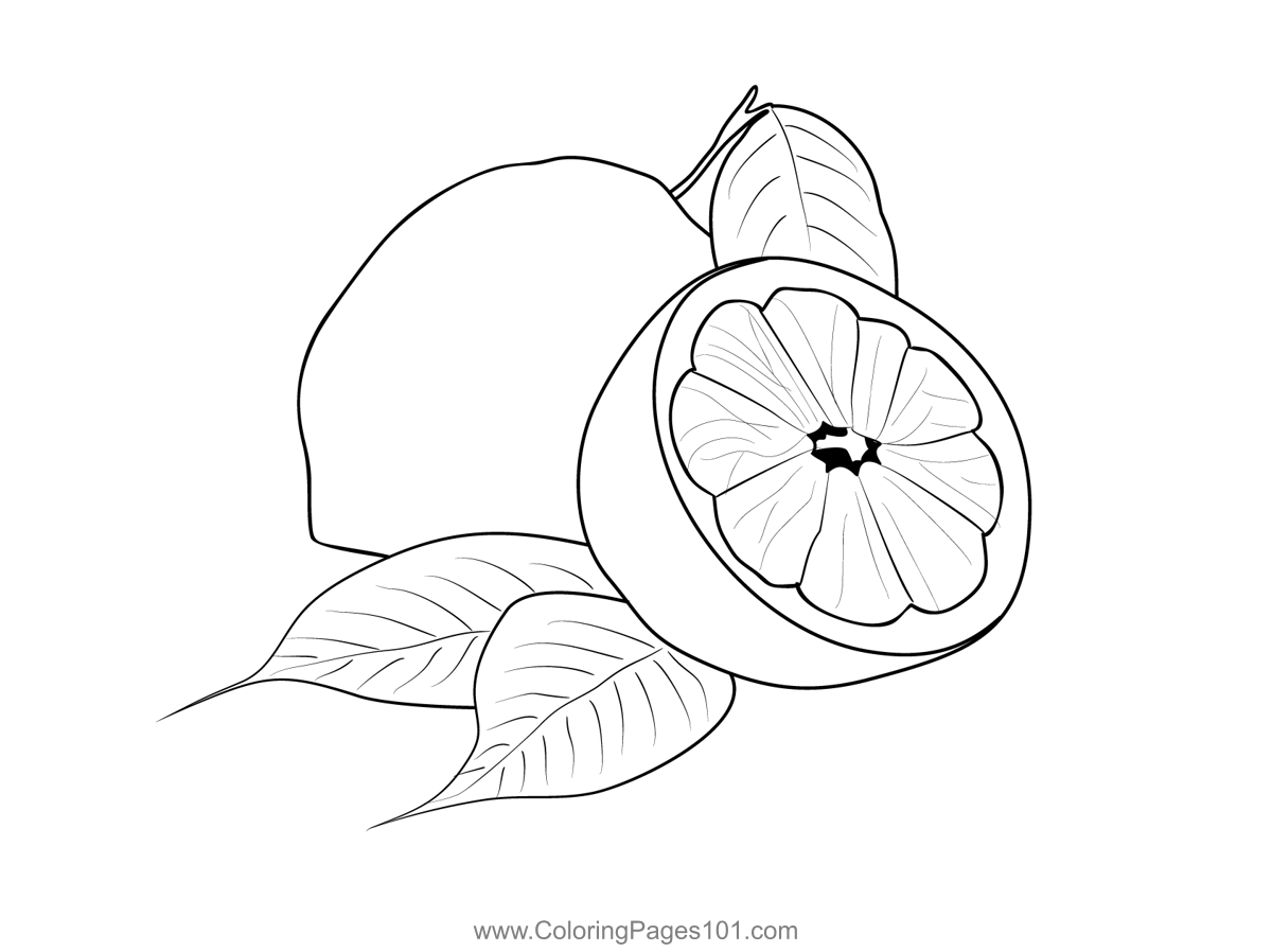 Lemons coloring page for kids