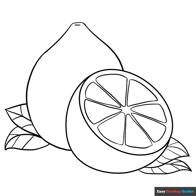 Lemon coloring page easy drawing guides