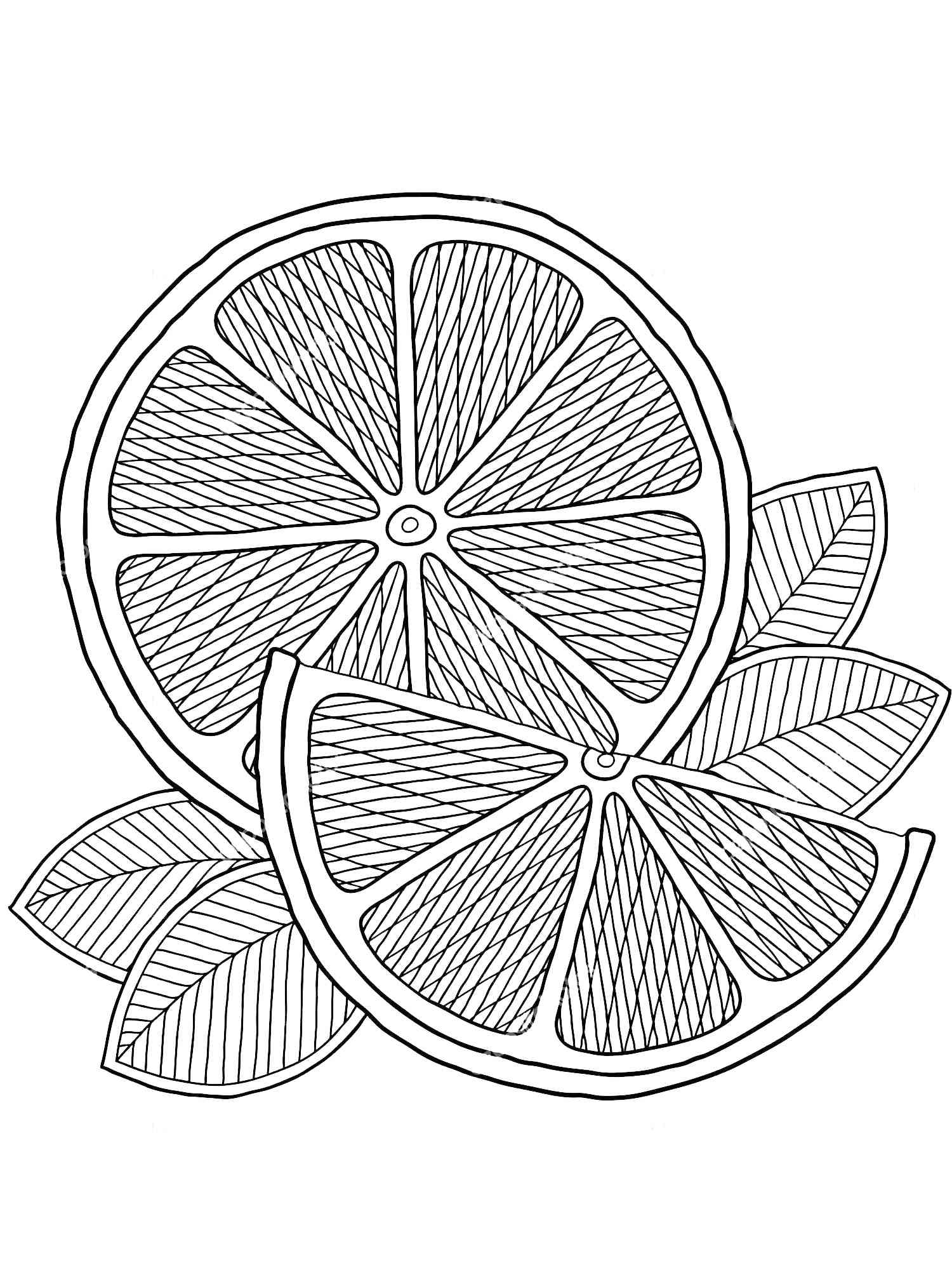 Lemon coloring pages for adults